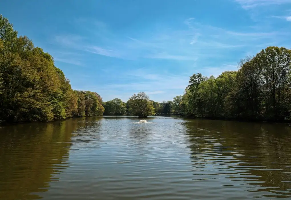 Georgia's Waterways